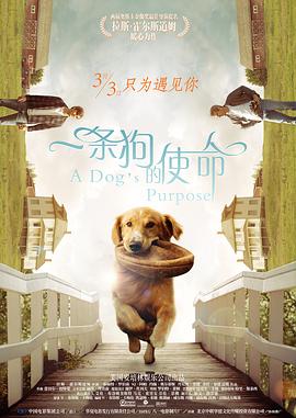 神马电影毛片